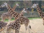 ZOO Praha