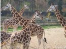 ZOO Praha
