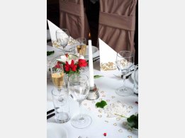 Gala / Wedding Table