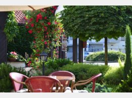 Sommergarten/Terrase - Restaurant Tarouca